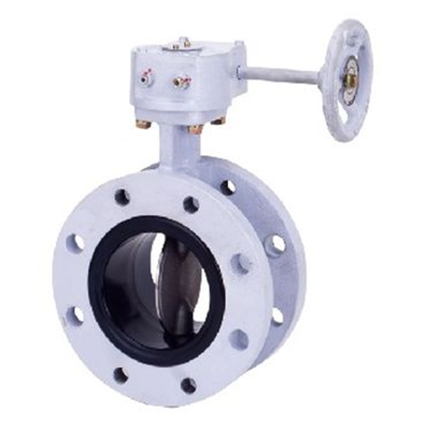 KITZ開滋閥門、電動蝶閥EXS100-10SHB-50A