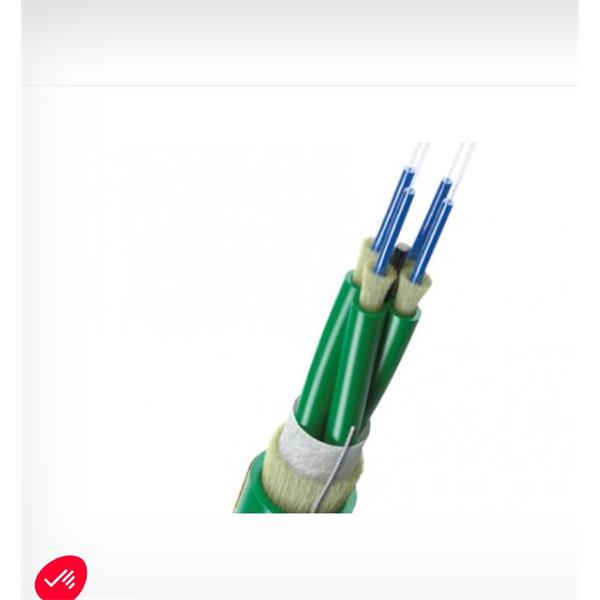 英國Scaime 2合1力傳感器K1882-1kN