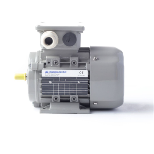 德國AC MOTOREN三相異步雙速電機AC09S8400002